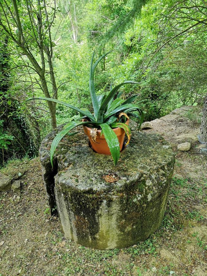 Casa Rural Ardetxal A 16Km De Logrono Y Laguardia Vinaspre エクステリア 写真